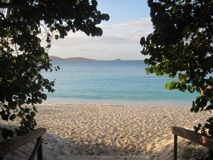 IMG_1452