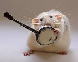 banjo