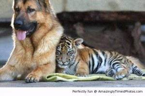 True-Friends-resizecrop--